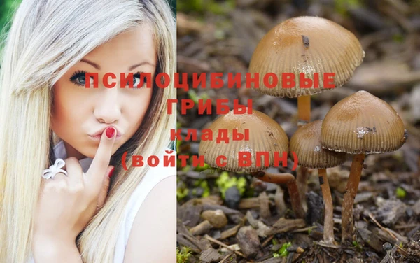 jwh Алексин