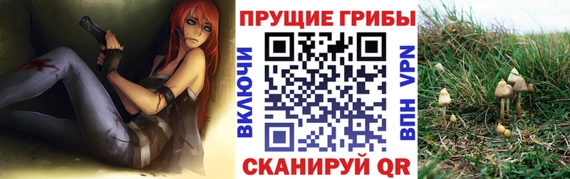 закладки  Славск  Галлюциногенные грибы GOLDEN TEACHER 